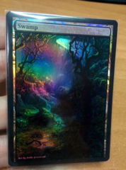 Swamp #17 Foil Extended